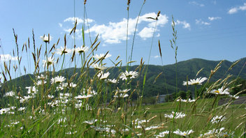 tn080612b.jpg